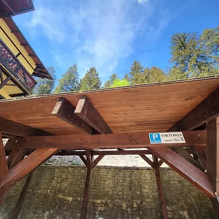 Apartment Viktoria 5