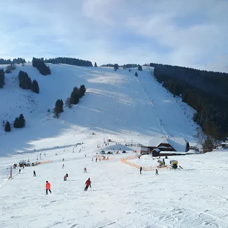 Viktoria 5 Appartement *