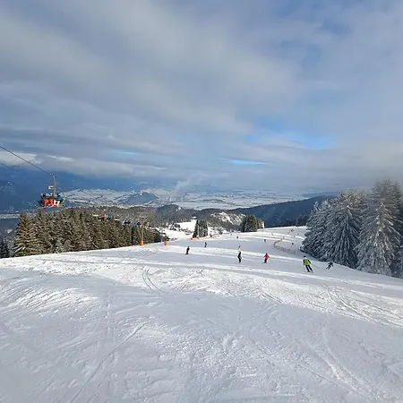 Viktoria 5