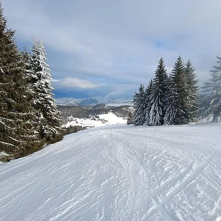 Viktoria 5 Appartement