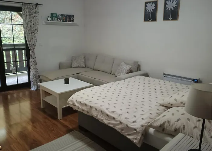 Viktoria 5 Appartement