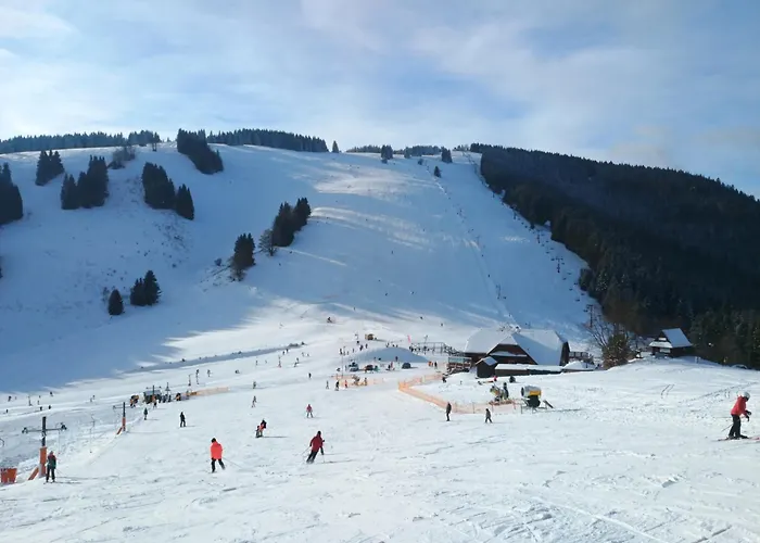 Viktoria 5 Appartement *