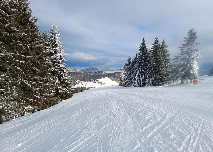 Viktoria 5 Appartement